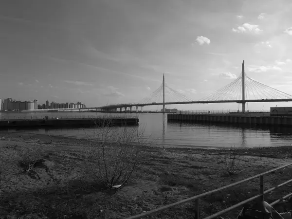 A cable-stayed bridge — Stock Photo, Image