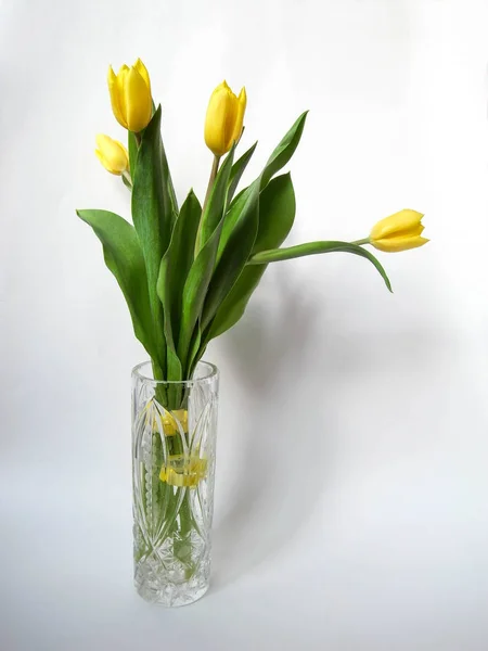 Un ramo de tulipanes amarillos. — Foto de Stock