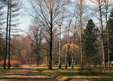 Parkta bekletin. Parkta bahar.