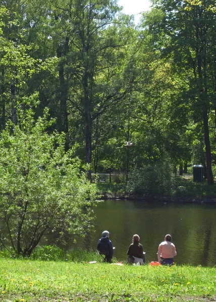 Unge kunstnere maler i naturen. Hvil i parken. Sommerdag. Trær over dammen . – stockfoto
