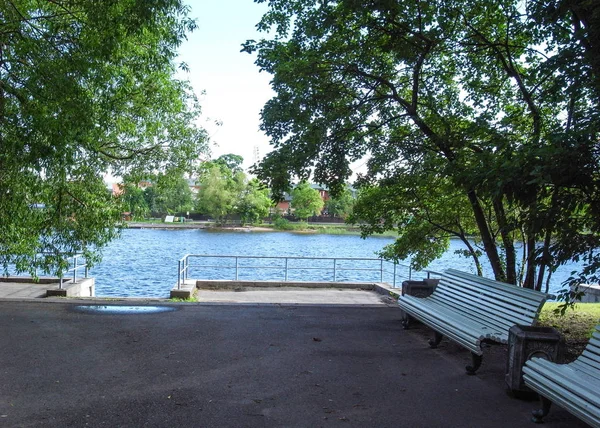 Riposa nel parco. Giornata estiva. Alberi sopra lo stagno . — Foto Stock