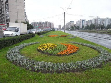 Yaz kentsel çiçeklenir. Kentsel çiçek.