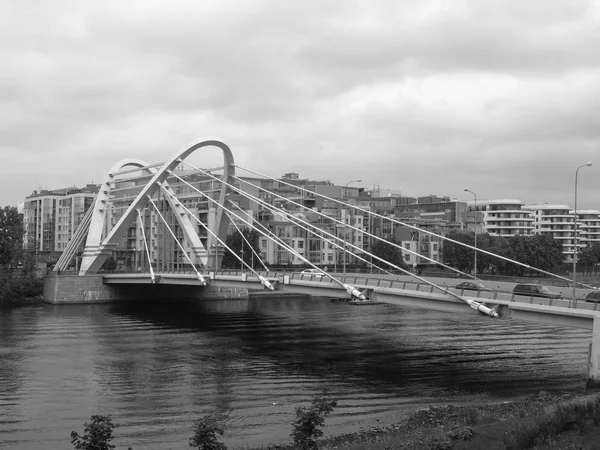 Канатный мост на севере Санкт-Петербурга — стоковое фото