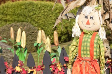 Cadılar Bayramı dekorasyonu ve hasat sembolü.