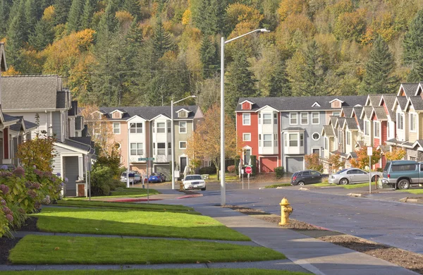 Rodinné domy v řadě Oregon. — Stock fotografie