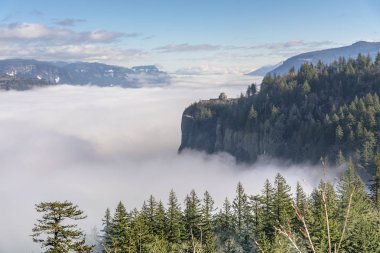 Columbia River Gorge Oregon Vadisi'nde sis.