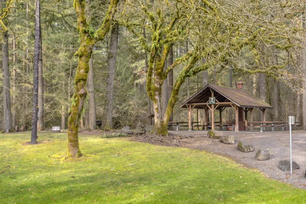 Covered picnic area and forest Washington state. — Stock Photo, Image