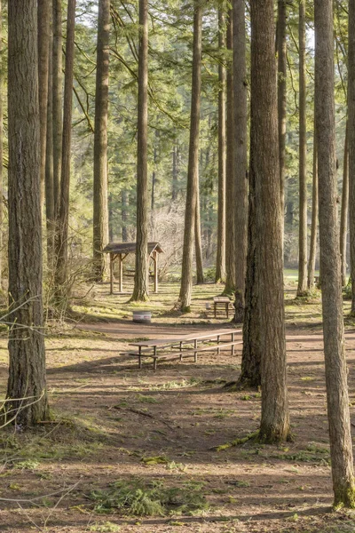 Woodlands állami parkok Washington állam. — Stock Fotó