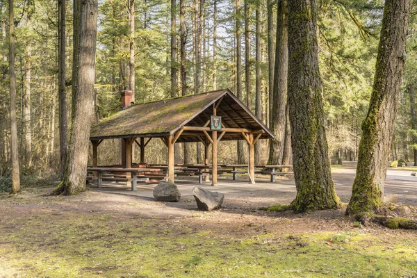 Devlet Parkı piknik alanı hem de orman Washington eyaleti. — Stok fotoğraf