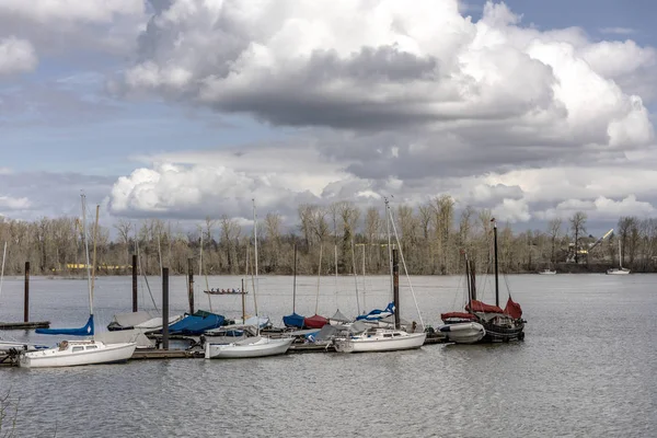 Żaglowce zacumowane nad brzegiem rzeki Willamette Oregon. — Zdjęcie stockowe