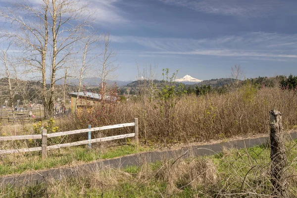 Powell Butte park in Portland Oregon. — Stockfoto