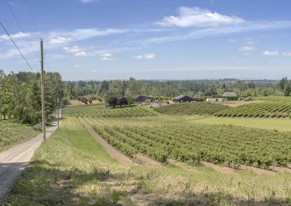 Country road och gårdar Oregon state. — Stockfoto