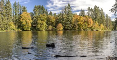 Lacamas Gölü Panoraması Camas Washington Eyaleti.