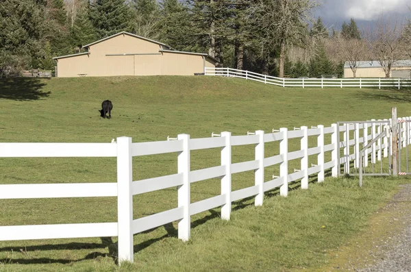Vita staket och fältet Oregon state. — Stockfoto