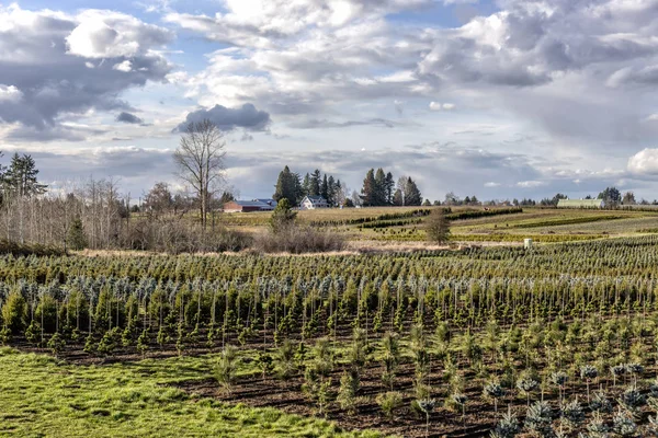 Agricultural landscape in rural Oregon. — Stock Photo, Image