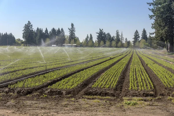 Farm pola i wody zraszacze wiejskich Oregon. — Zdjęcie stockowe