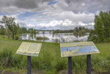 Sauvie ada Gölü ve kuş kutsal Oregon.