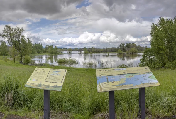 Sauvie Insel See und Vogelschutzgebiet oregon. — Stockfoto