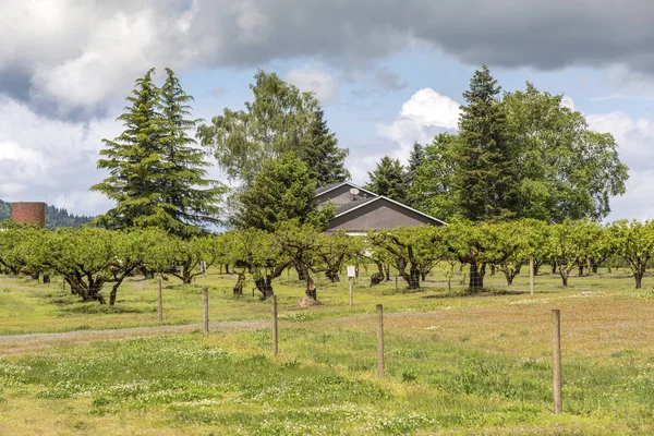 Bostadshus och fruktträdgårdar Sauvie Island eller. — Stockfoto