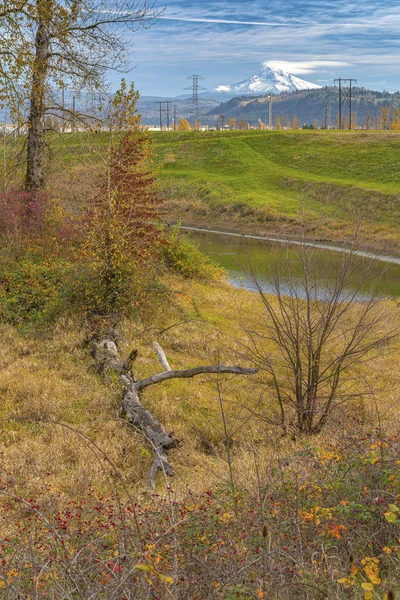 Herbstfarben in einer Landschaft oregon. — Stockfoto