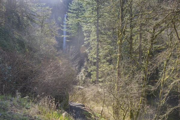 Латурелл Падає Колумбійський Ущелин Ландшафт Орегон — стокове фото