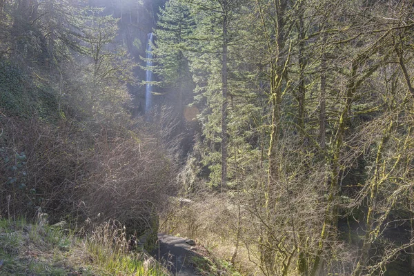 Latourell Şelalesi Columbia Boğazı Manzarası Oregon — Stok fotoğraf