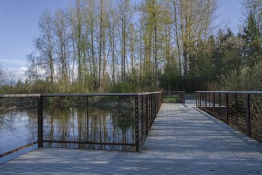 Kamu parkı manzarası ve yeni bahar Oregon eyaletinde çiçek açtı.