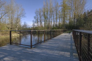 Park manzarası ve Fairview Oregon parkındaki yaya köprüsü.