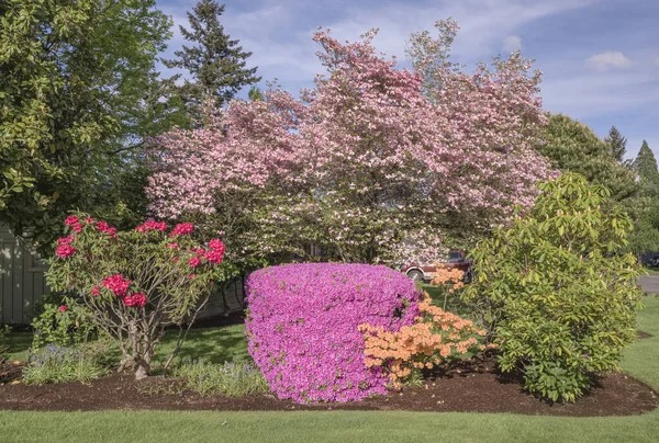 Farbenfroher Garten Und Pflanzen Gresham Oregon — Stockfoto