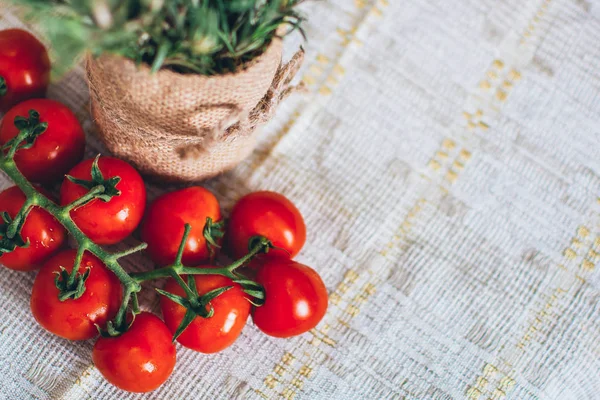 kiraz domates ve biberiye