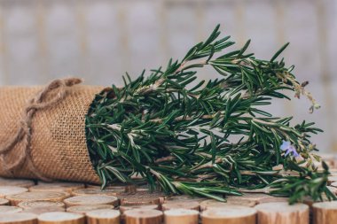 Arka planda biberiye 