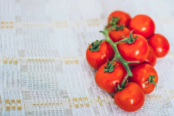 Arka planda kiraz tamatoes