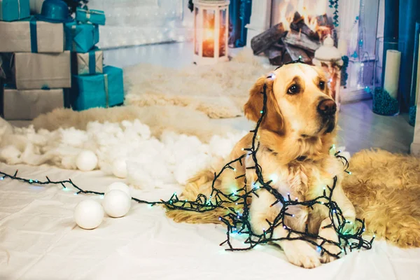 Altın geri almak ve çelenk