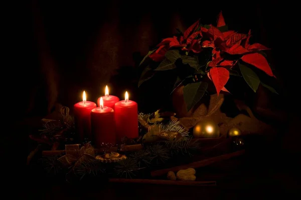 Christmas candles and Poinsettia — Stock Photo, Image
