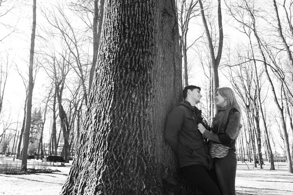 A beautiful loving couple smiling and kissing a large tree in the park. — Stock Photo, Image