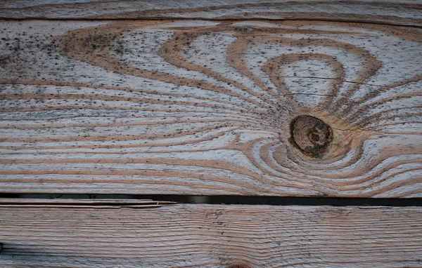 Φόντο ξύλινες σανίδες με ένα κλωναράκι — Φωτογραφία Αρχείου