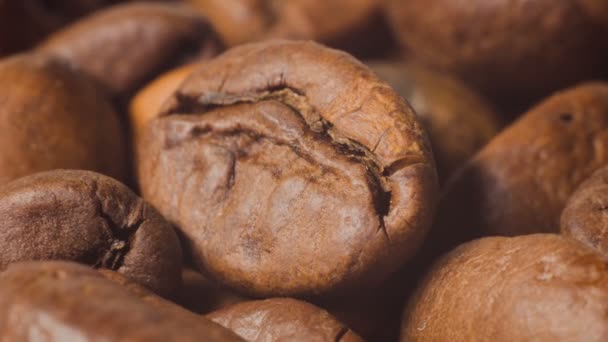 Coffee grains, macro shooting with approach — Stock Video