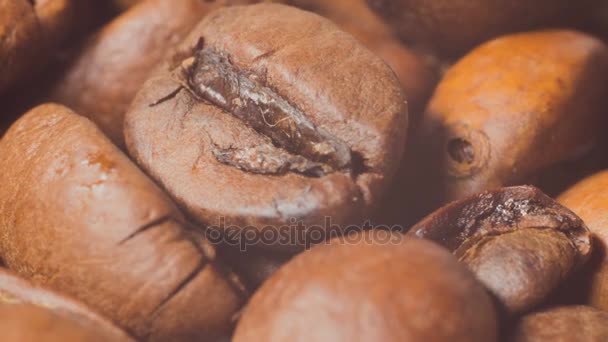 Coffee grains, macro shooting with approach — Stock Video