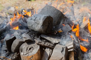 Parlak bir gün ormanda ateş yakar