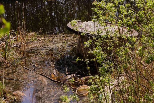 Σκουπίδια στη λίμνη δάσος σε μια ηλιόλουστη ημέρα — Φωτογραφία Αρχείου