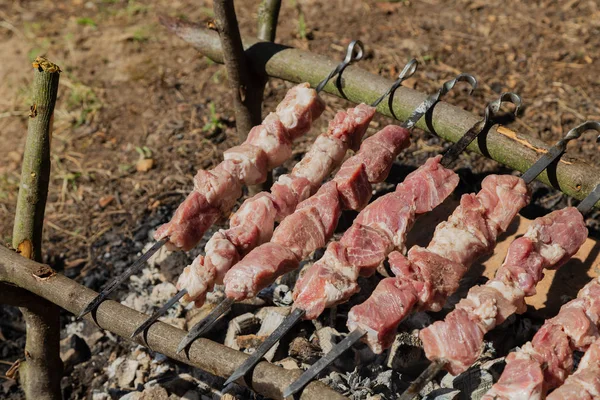Shish kebab asado en carbón vegetal. Kebab shish en pinchos en el bosque . — Foto de Stock