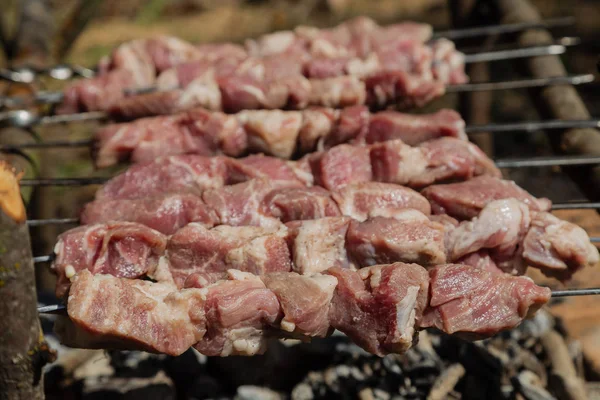 Shish kebab asado en carbón vegetal. Kebab shish en pinchos en el bosque . — Foto de Stock