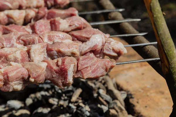 Dönerbraten auf Holzkohle. Dönerspieße im Wald. — Stockfoto