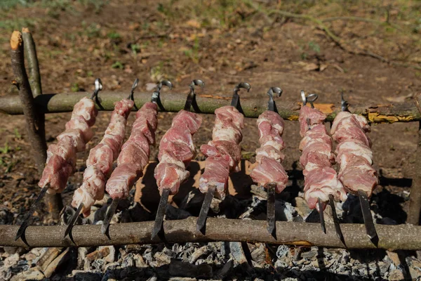 Shish kebab roast on charcoal. Shish kebab on skewers in the forest. — Stock Photo, Image