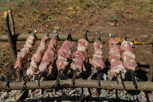 Shish kebab asado en carbón vegetal. Kebab shish en pinchos en el bosque . — Foto de Stock