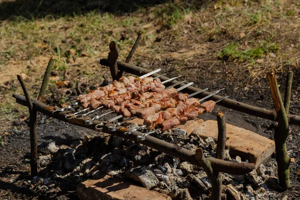 Shish kebab asado en carbón vegetal. Kebab shish en pinchos en el bosque . — Foto de Stock