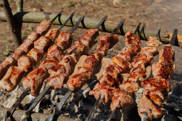Szaszłyk pieczony na węgiel drzewny. Shish kebab na szaszłyki w lesie. — Zdjęcie stockowe