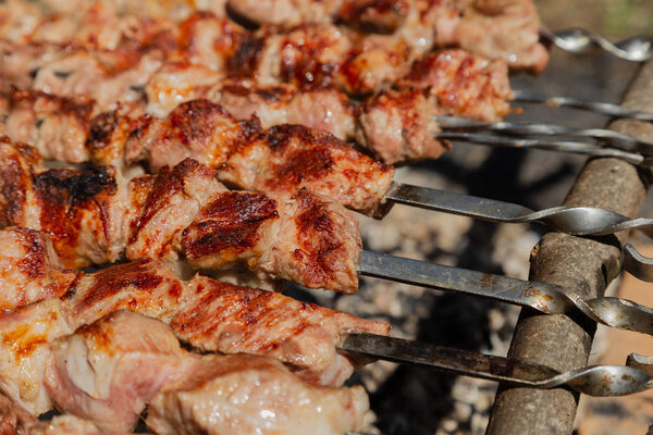 Shish kebab roast on charcoal. Shish kebab on skewers in the forest.