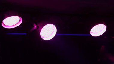 Gece kulübünde çakmak farklı renklerde kızdırma