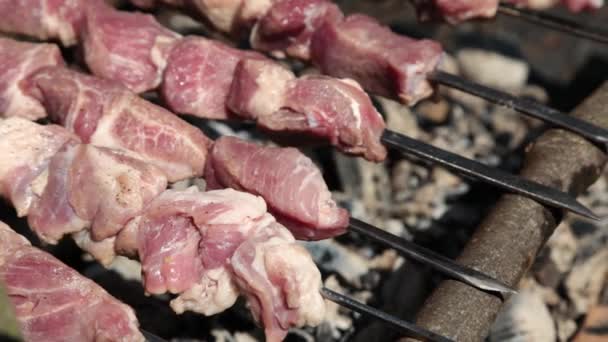 Grill, Frituur Vlees, Kip Barbecue, Worst, Kebab, Hamburger, groenten, BBQ, Barbecue, zeevruchten. gegrilde paprika en ui. Close-up zonnige outdoor Chef zet het vlees op de grill. — Stockvideo